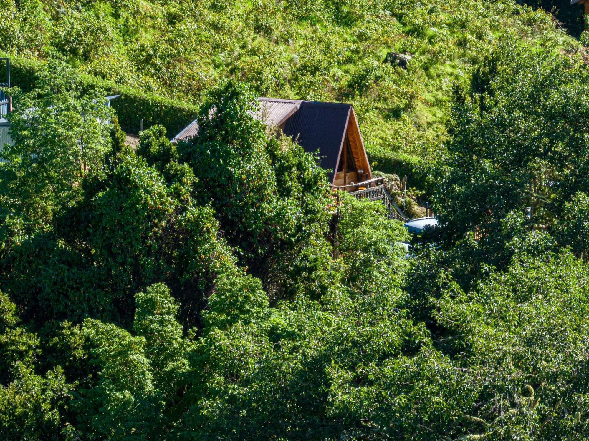 Jaulares Mountain Lodge Rivas Extérieur photo